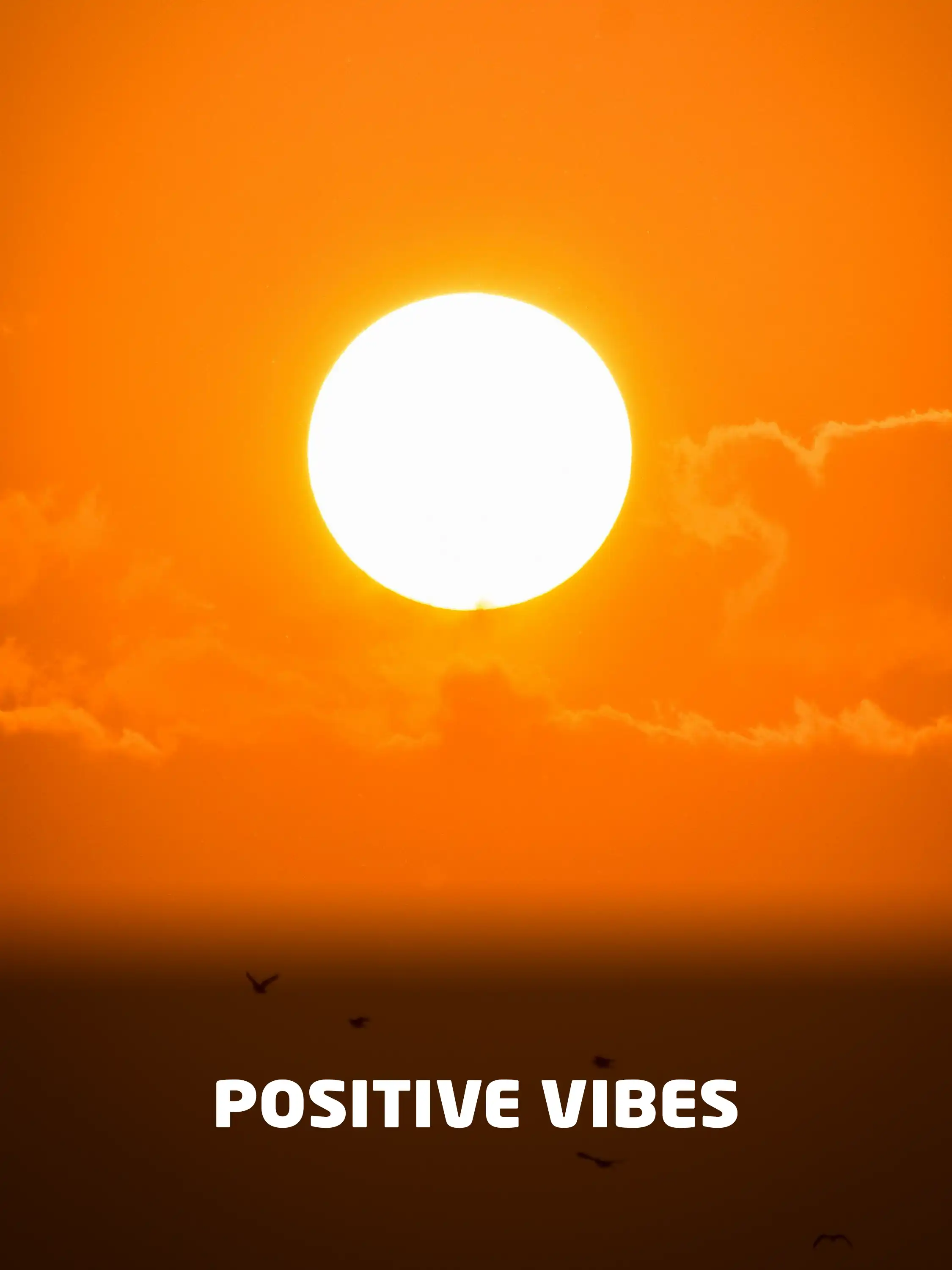 Positive Vibes